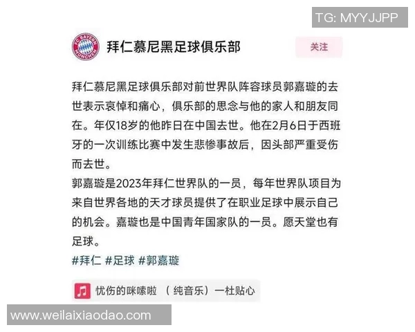 足球明星意外踢球误伤孩子引发热议家长呼吁加强安全措施